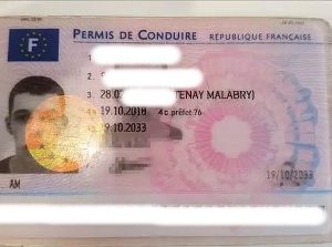 Buy French driver's license no taking the test 2023