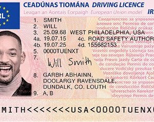 Buy NDLS Registered Irish Driving License Online