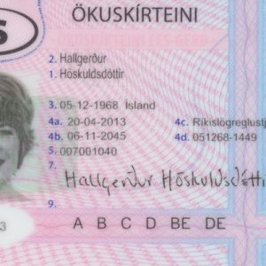 Buy Iceland driving license online