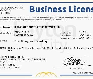 Buy Business License Online- No bureaucracy needed! | Online business permit services